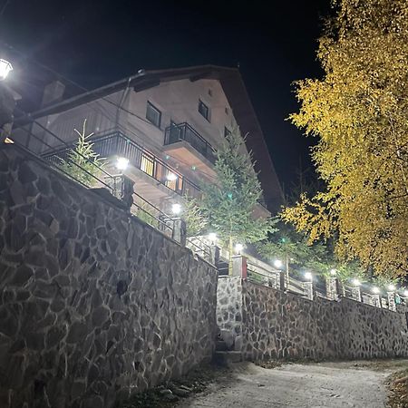 Pensiunea Joe Păltiniş Kültér fotó