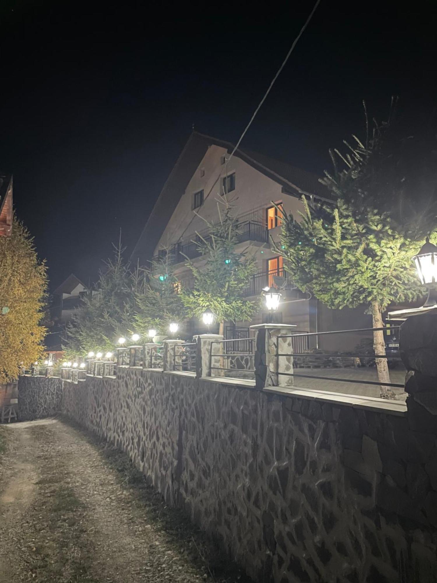 Pensiunea Joe Păltiniş Kültér fotó