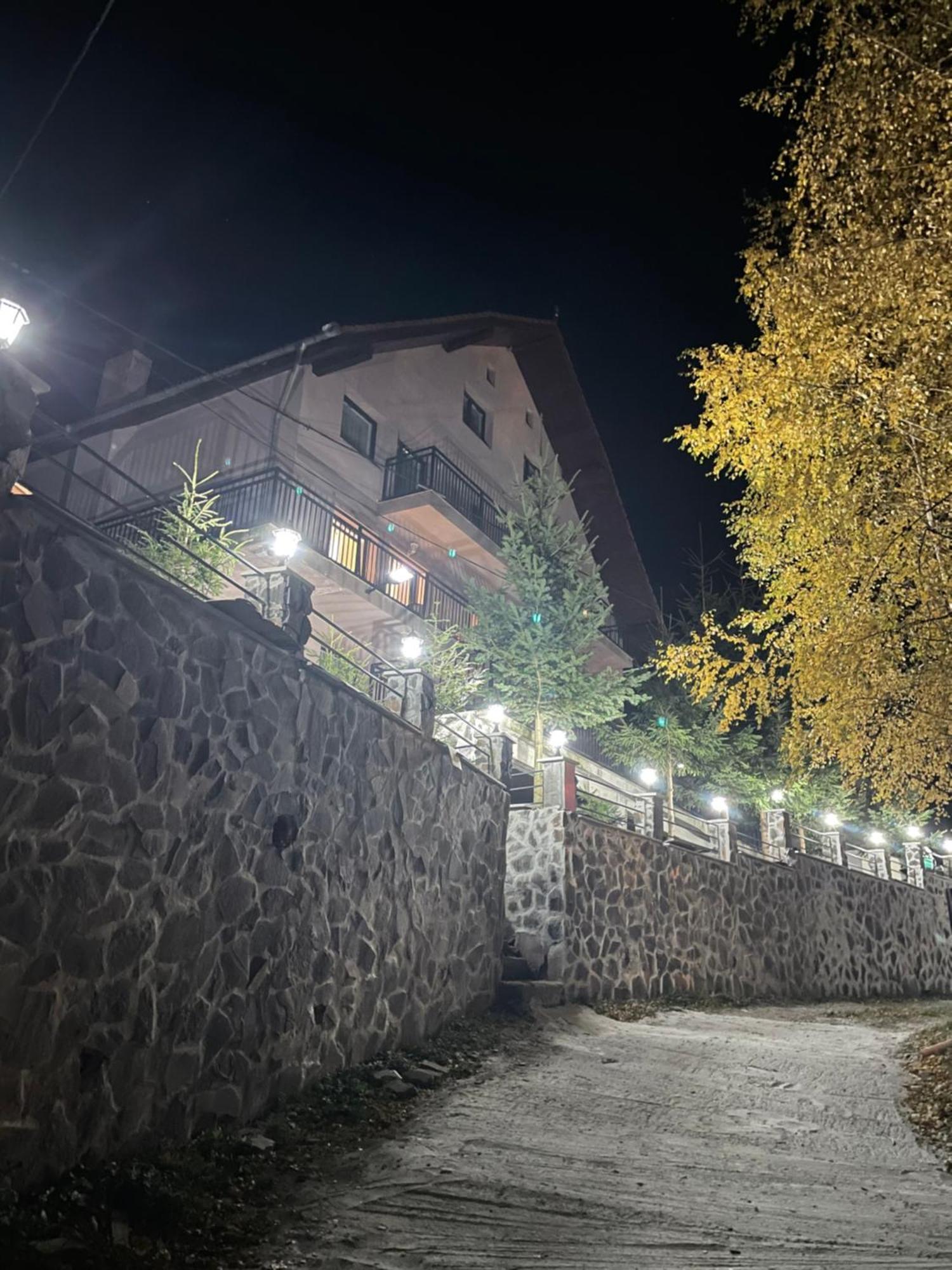 Pensiunea Joe Păltiniş Kültér fotó